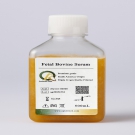AQmv06600-500ml 優(yōu)級(jí)胎牛血清（FBS） 500ml